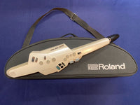 Roland Others Ae-10