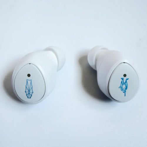 Onkyo Wireless Earphone Aow04 Seed