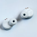 Onkyo Wireless Earphone Aow04 Seed