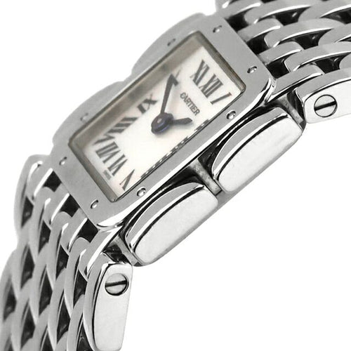 Cartier Others W61001T9