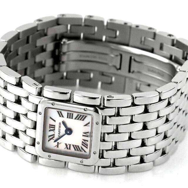 Cartier Others W61001T9