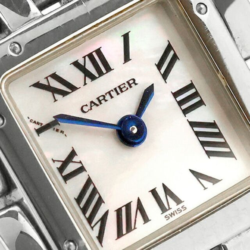 Cartier Others W61001T9
