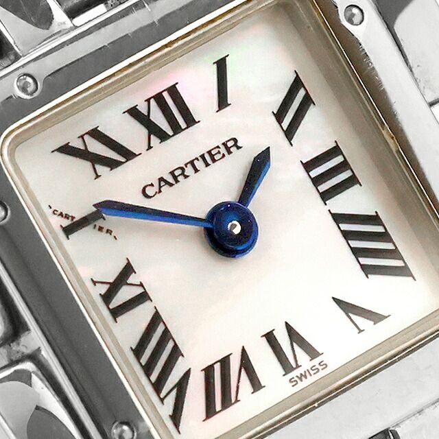 Cartier Others W61001T9
