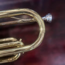 Cornets