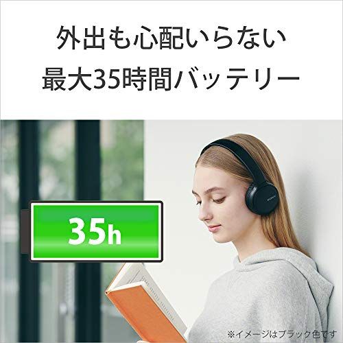 Wireless Headphones Wh-Ch510 Bluetooth Aac 35 2019 B