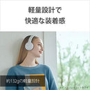 Wireless Headphones Wh-Ch510 Bluetooth Aac 35 2019 B