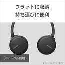 Wireless Headphones Wh-Ch510 Bluetooth Aac 35 2019 B