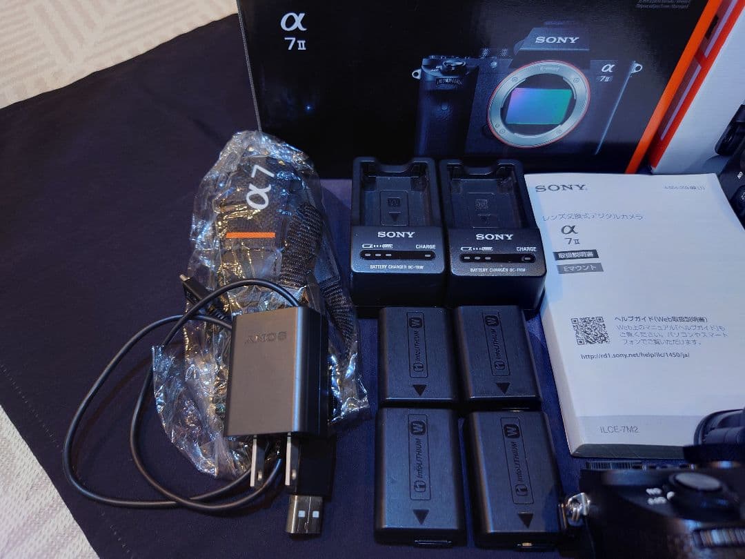 Sony Mirrorless Interchangeable Lips 7 Ii