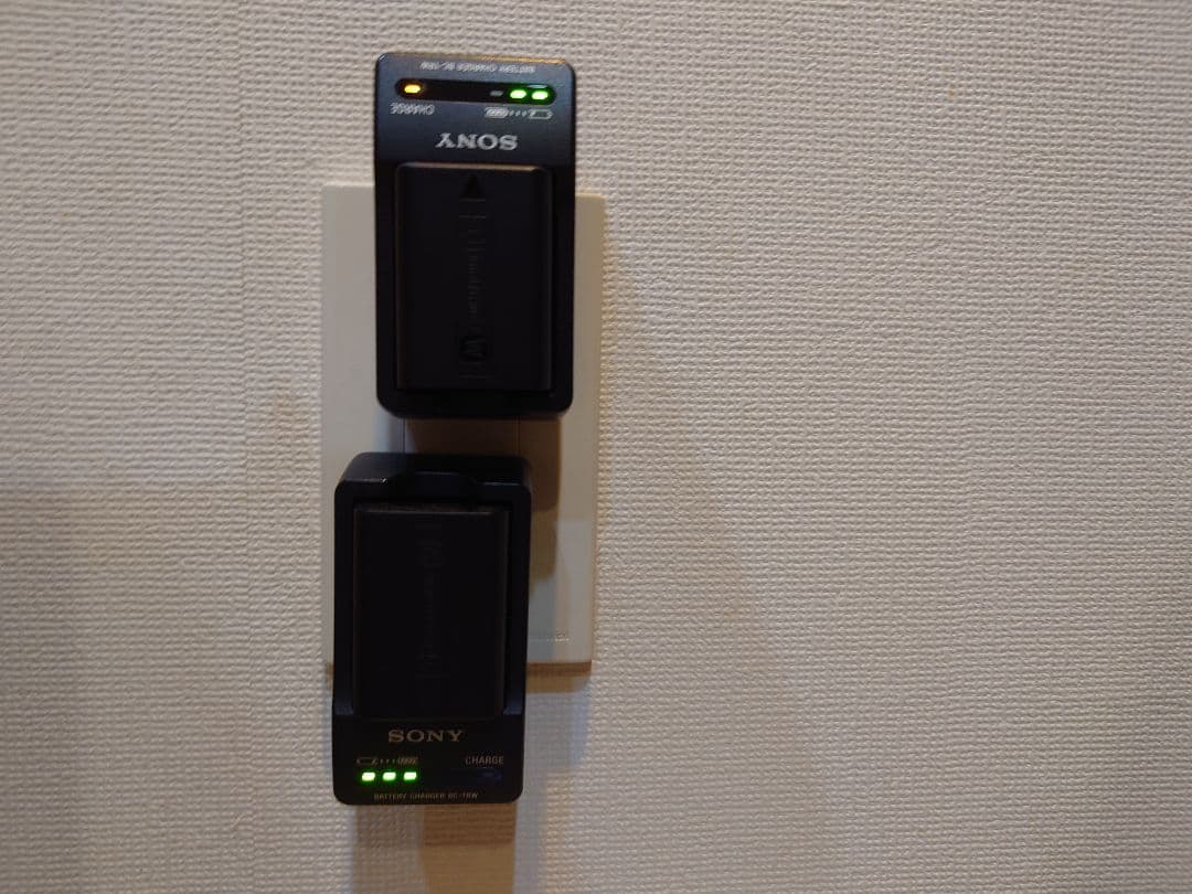 Sony Mirrorless Interchangeable Lips 7 Ii