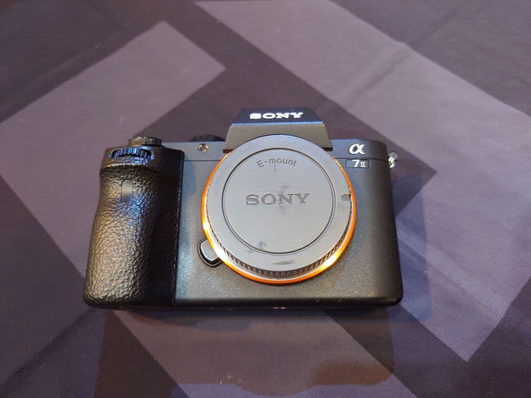 Sony Mirrorless Interchangeable Lips 7 Ii