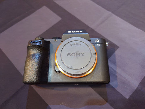 Sony Mirrorless Interchangeable Lips 7 Ii