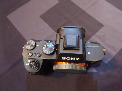 Sony Mirrorless Interchangeable Lips 7 Ii