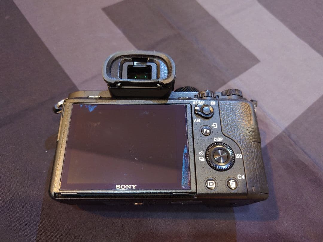 Sony Mirrorless Interchangeable Lips 7 Ii
