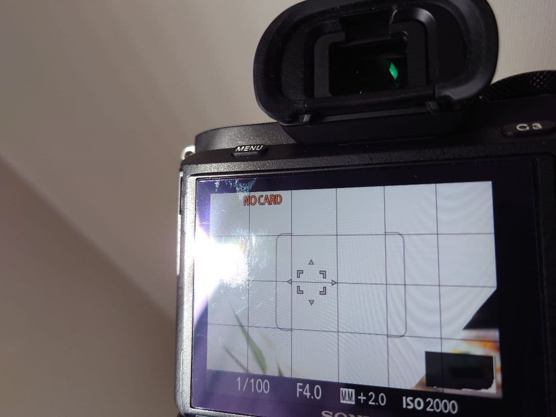 Sony Mirrorless Interchangeable Lips 7 Ii