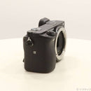 Sony Mirrorless Interchangeable Lips 6400 262