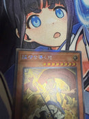 Yu-Gi-Oh! Ocg Duel Monsters (Japanese)