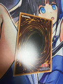 Yu-Gi-Oh! Ocg Duel Monsters (Japanese)