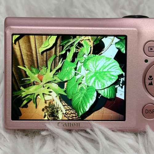 Canon Compact Digital Cameras Ixy 200F