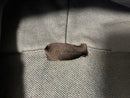Moncler Hoodies Qr L