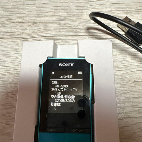 Sony Digital Audio Players Walkmannw-S313