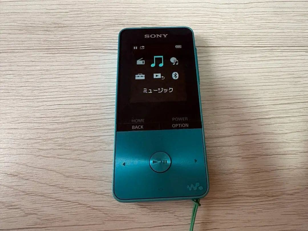 Sony Digital Audio Players Walkmannw-S313
