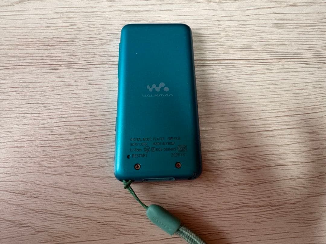 Sony Digital Audio Players Walkmannw-S313