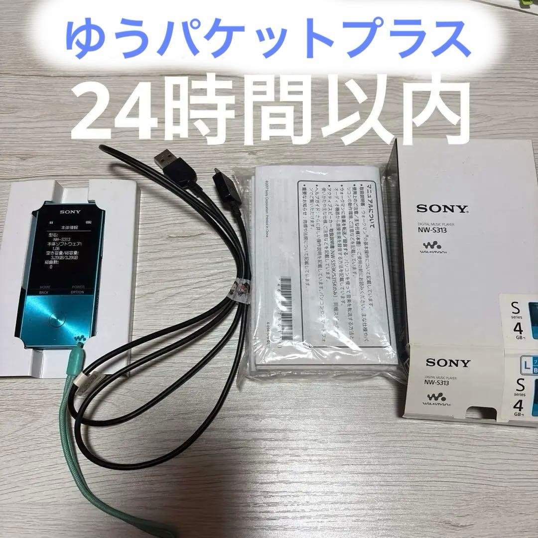Sony Digital Audio Players Walkmannw-S313