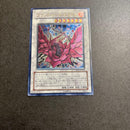 Yu -Gi -Oh! Ocg Duel Monsters )Csoc-Jp039