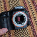 Sony Digital Slrs 99Ii