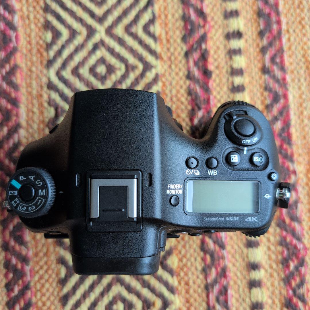 Sony Digital Slrs 99Ii