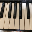 Yamaha Keyboards Digital Pianos Psr210