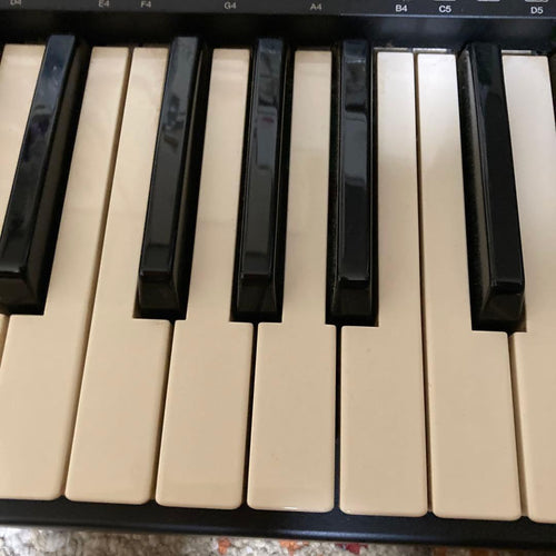 Yamaha Keyboards Digital Pianos Psr210