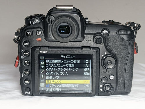 Nikon Digital Slrs D500
