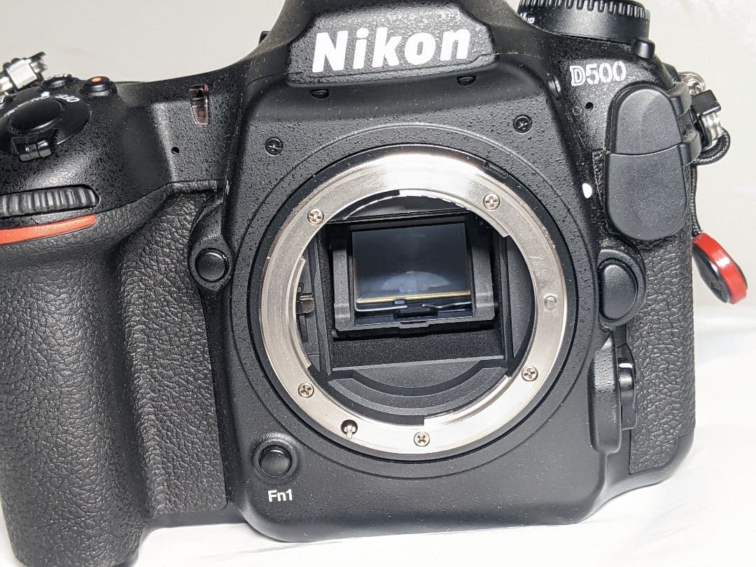Nikon Digital Slrs D500