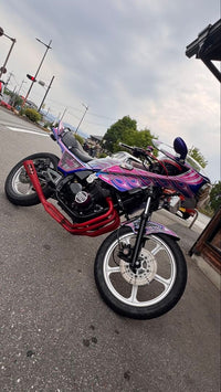 Kawasaki Motorcycle Frames Z400Gp
