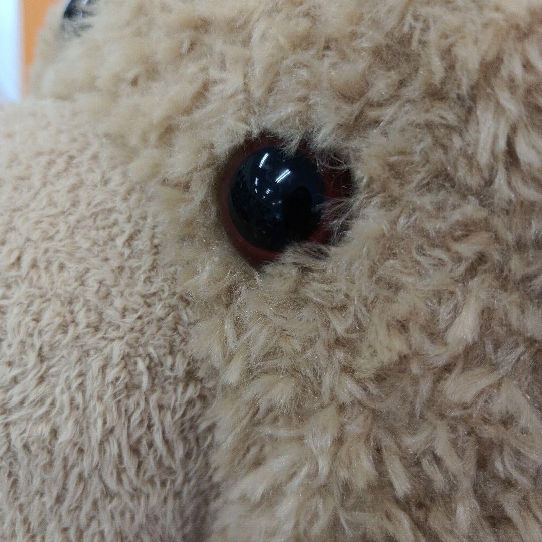 Stuffed Animals Mascots Ted R