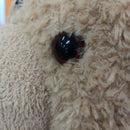 Stuffed Animals Mascots Ted R