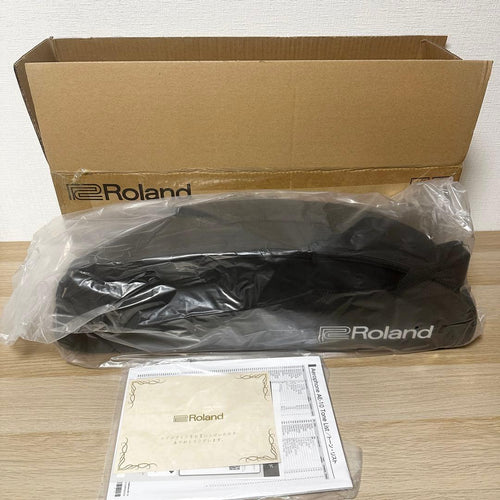 Roland Other Ae-10G