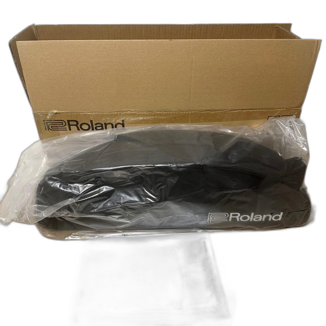 Roland Other Ae-10G