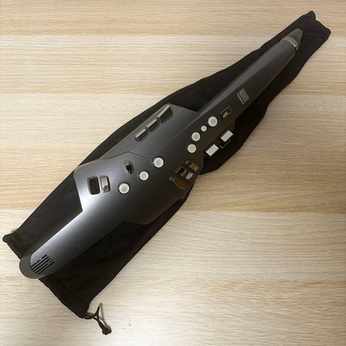 Roland Other Ae-10G