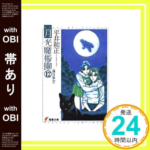 Literature Novel 12 2-12) _07
