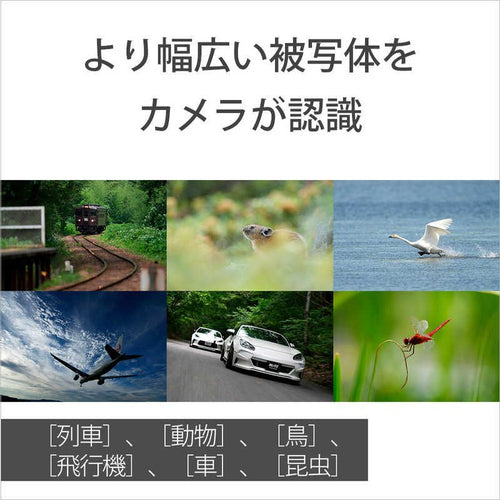 Sony Mirrorless Interchangeable Lips Vlogcam Zv-E1L W
