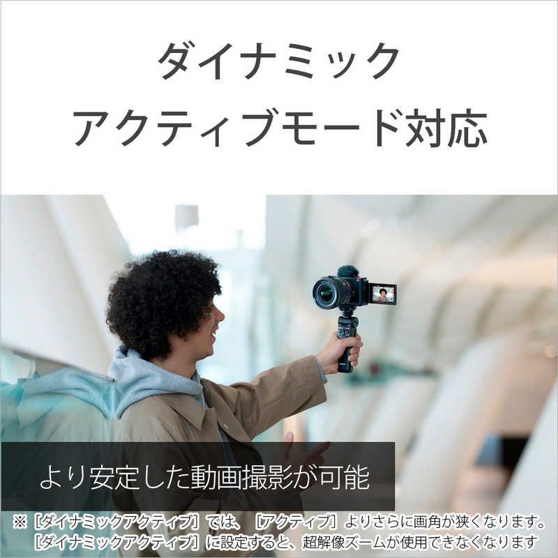 Sony Mirrorless Interchangeable Lips Vlogcam Zv-E1L W