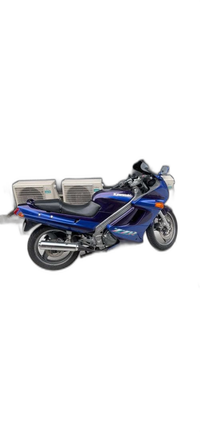 Motorcycle Body Zzr250