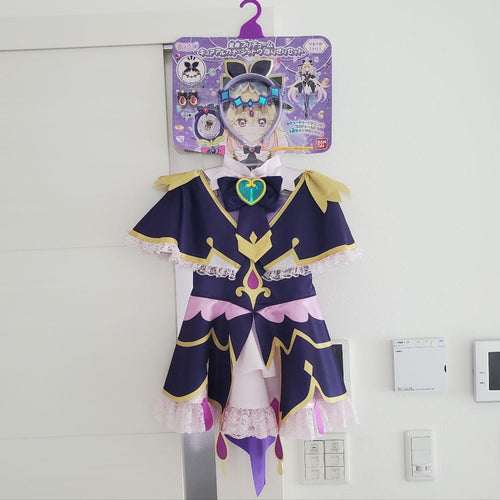 Premium Bandai Costumes