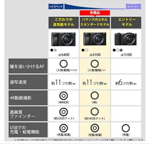 Sony Mirrorless Interchangeable Lens Cameras 6100
