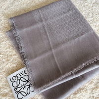 Loewe Stoles Shawls
