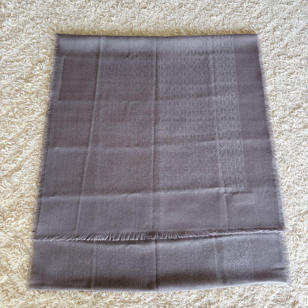Loewe Stoles Shawls