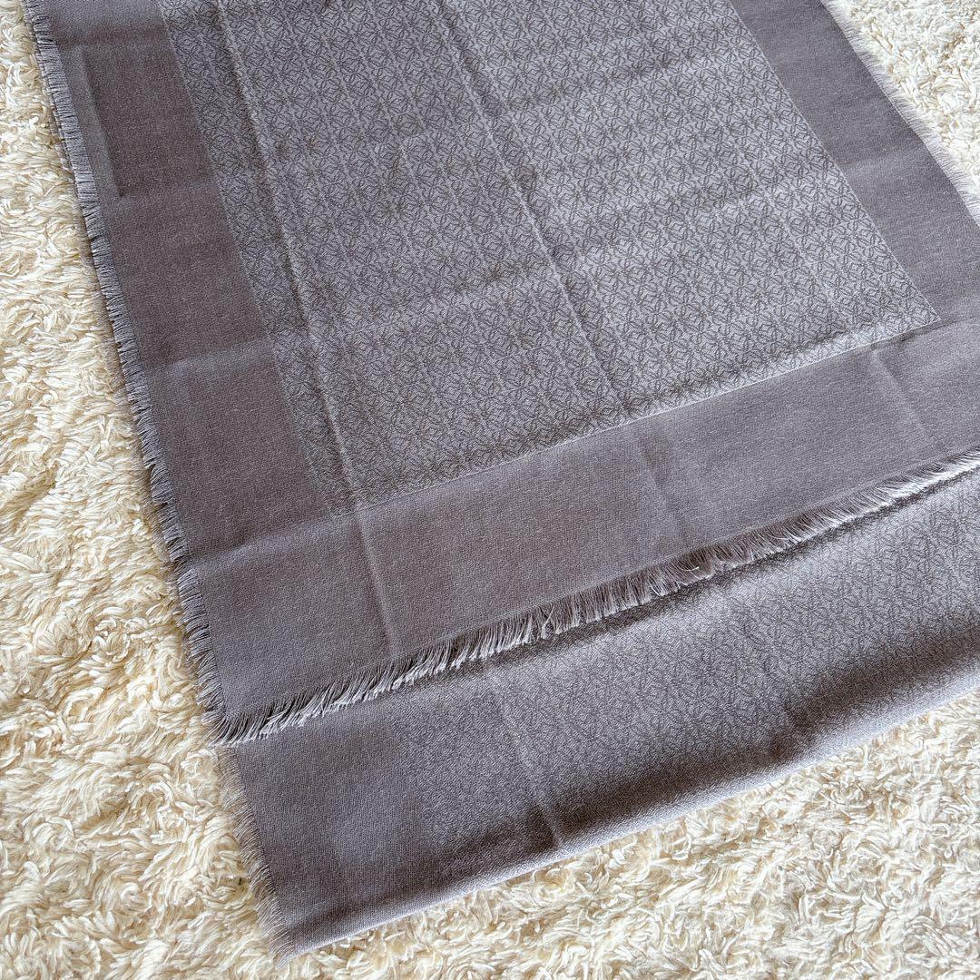 Loewe Stoles Shawls