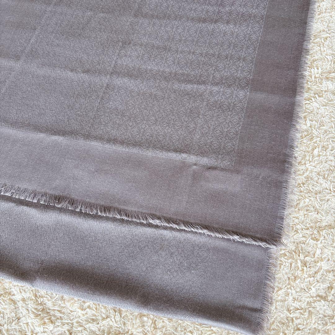 Loewe Stoles Shawls